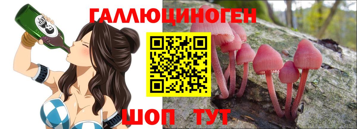 Галлюциногенные грибы Psilocybe  Вход с VPN  Заволжье 